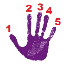 mano-destra con numeri alle dita