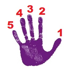 mano-sinistra con numeri alle dita